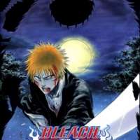   Bleach - Memories in the Rain <small>Director</small> 